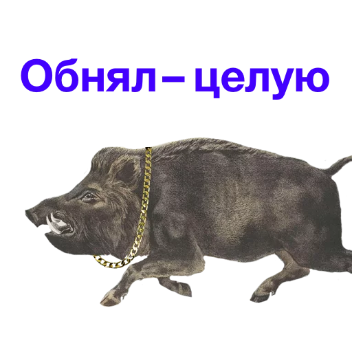 💋 Стикер «Kabanchikom» для Telegram