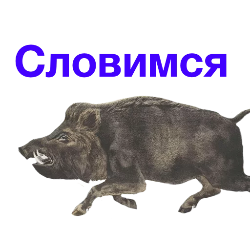 👣 Стикер «Kabanchikom» для Telegram