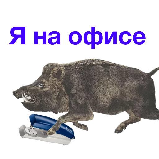 ✍ Стикер «Kabanchikom» для Telegram