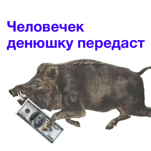💰 Стикер «Kabanchikom» для Telegram