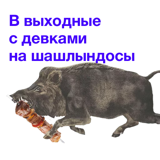 🍢 Стикер «Kabanchikom» для Telegram