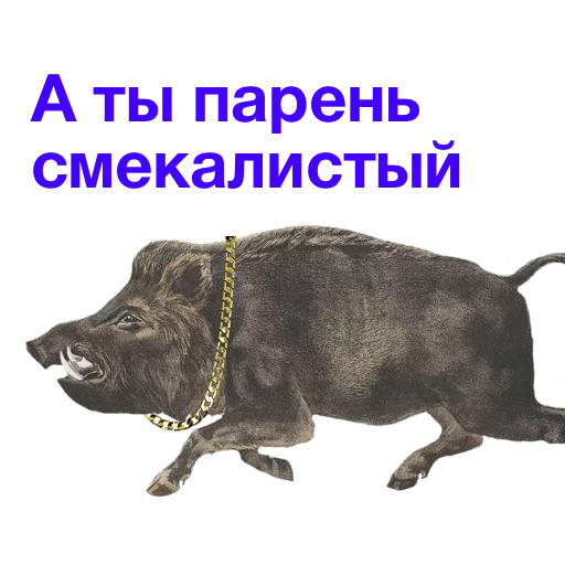 🎗 Стикер «Kabanchikom» для Telegram