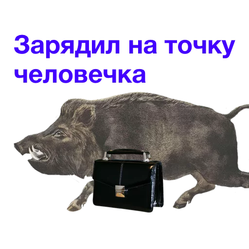 🏹 Стикер «Kabanchikom» для Telegram