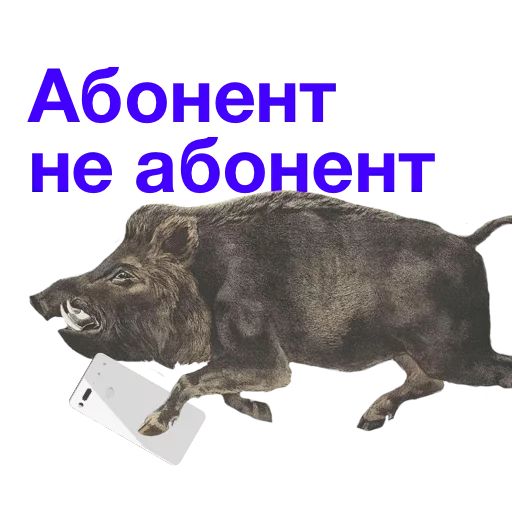 🏴 Стикер «Kabanchikom» для Telegram