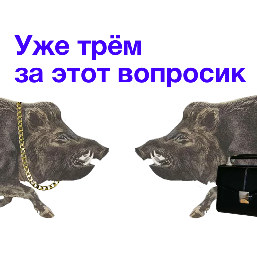 👥 Стикер «Kabanchikom» для Telegram