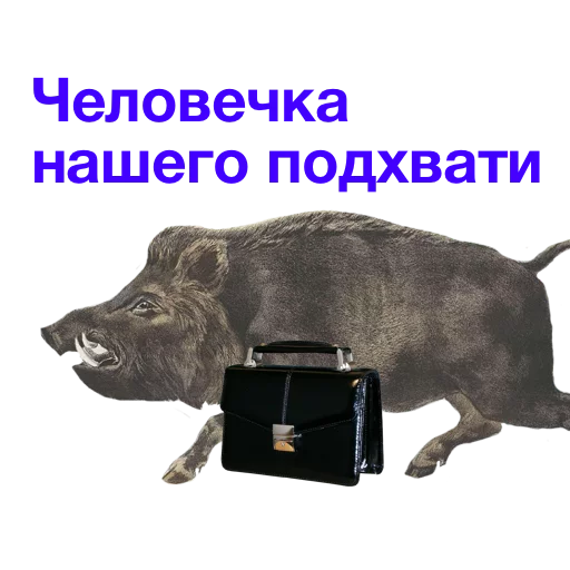 💁 Стикер «Kabanchikom» для Telegram