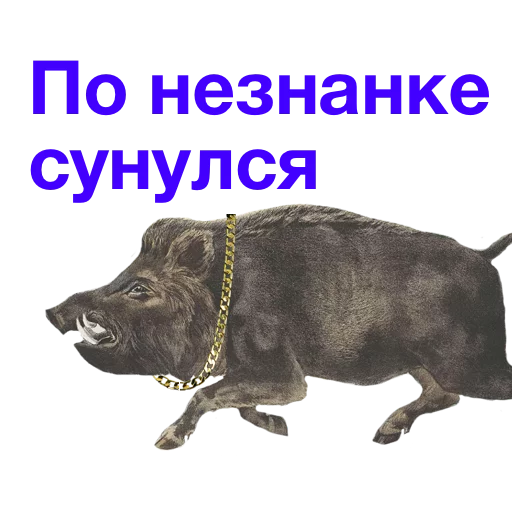 🤦 Стикер «Kabanchikom» для Telegram