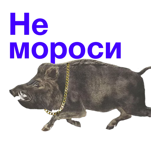 🖕 Стикер «Kabanchikom» для Telegram