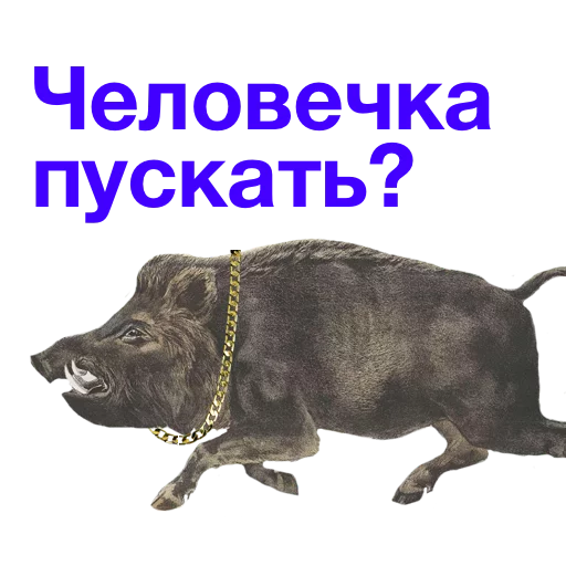 🚧 Стикер «Kabanchikom» для Telegram