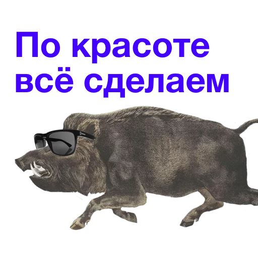 🏅 Стикер «Kabanchikom» для Telegram