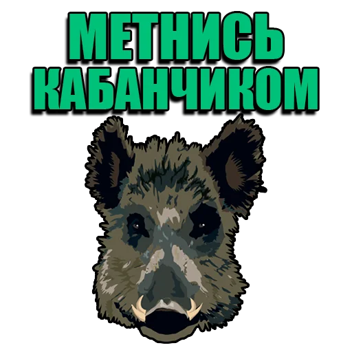 Стикерпак Кабанчик для Telegram — скачать