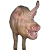 🐗 Эмодзи «Кабанчики» для Telegram