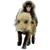 🐗 Эмодзи «Кабанчики» для Telegram