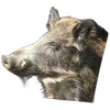 🐗 Эмодзи «Кабанчики» для Telegram