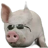 🐗 Эмодзи «Кабанчики» для Telegram