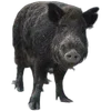 🐗 Эмодзи «Кабанчики» для Telegram