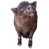 🐗 Эмодзи «Кабанчики» для Telegram