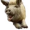 🐗 Эмодзи «Кабанчики» для Telegram
