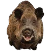 🐗 Эмодзи «Кабанчики» для Telegram