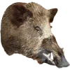 🐗 Эмодзи «Кабанчики» для Telegram