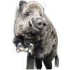 🐗 Эмодзи «Кабанчики» для Telegram