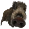 🐗 Эмодзи «Кабанчики» для Telegram