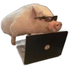 🐗 Эмодзи «Кабанчики» для Telegram