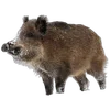 🐗 Эмодзи «Кабанчики» для Telegram