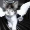 🌟 Эмодзи «Как жизнь?» для Telegram