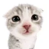 🌟 Эмодзи «Как жизнь?» для Telegram