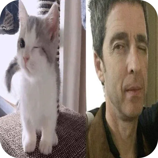 ❤ Стикер «какашки (вонючие)» для Telegram