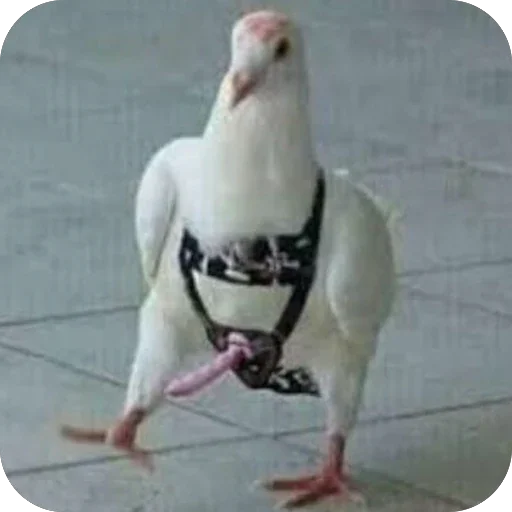 ❤ Стикер «какашки (вонючие)» для Telegram