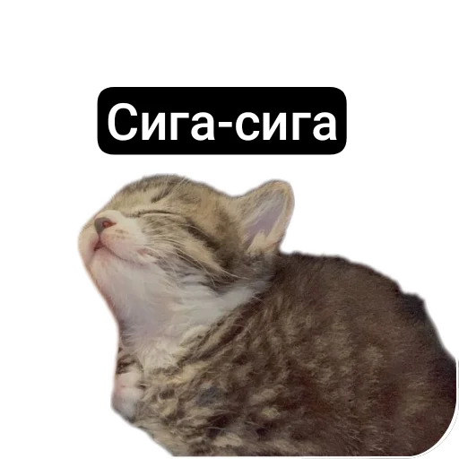 Стикерпак Kalimera для Telegram — скачать