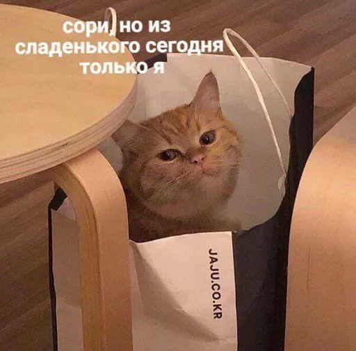 😁 Стикер «kami» для Telegram