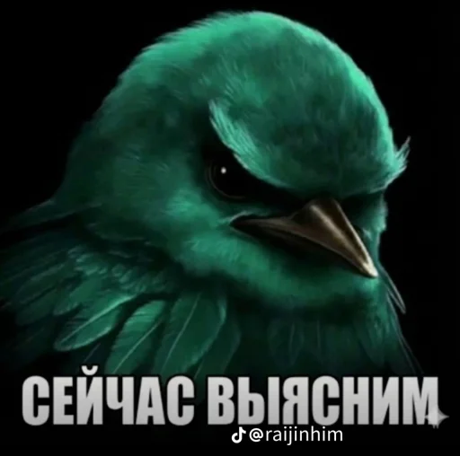 🤩 Стикер «Блотные и крутые птички» для Telegram