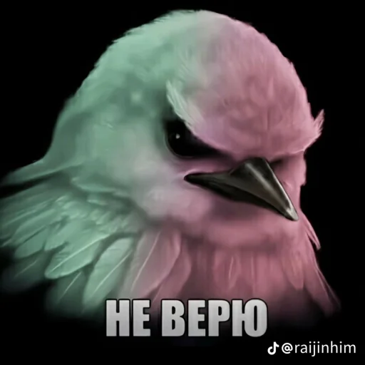 🤩 Стикер «Блотные и крутые птички» для Telegram