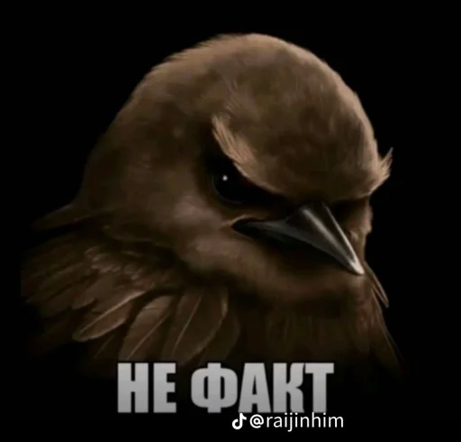 🤩 Стикер «Блотные и крутые птички» для Telegram
