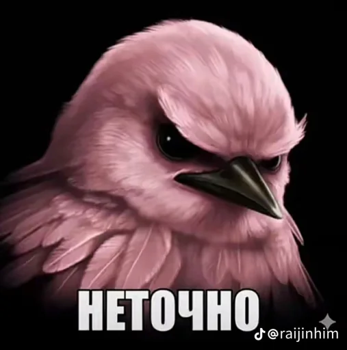 🤩 Стикер «Блотные и крутые птички» для Telegram
