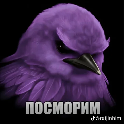🤩 Стикер «Блотные и крутые птички» для Telegram
