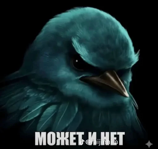 🤩 Стикер «Блотные и крутые птички» для Telegram
