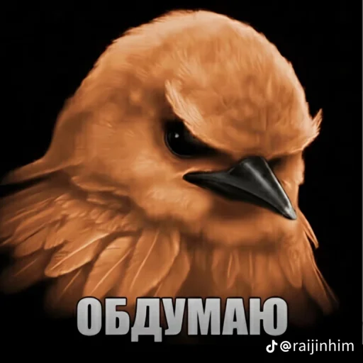 🤩 Стикер «Блотные и крутые птички» для Telegram