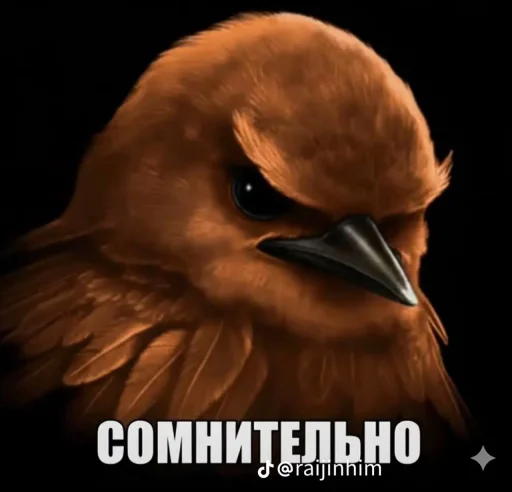 🤩 Стикер «Блотные и крутые птички» для Telegram