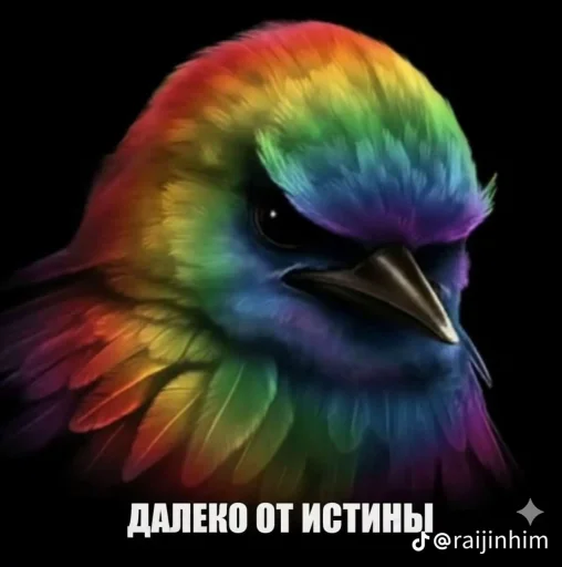 🤩 Стикер «Блотные и крутые птички» для Telegram