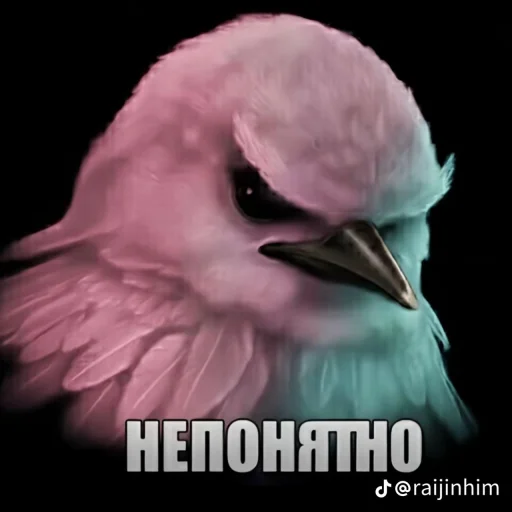 🤩 Стикер «Блотные и крутые птички» для Telegram