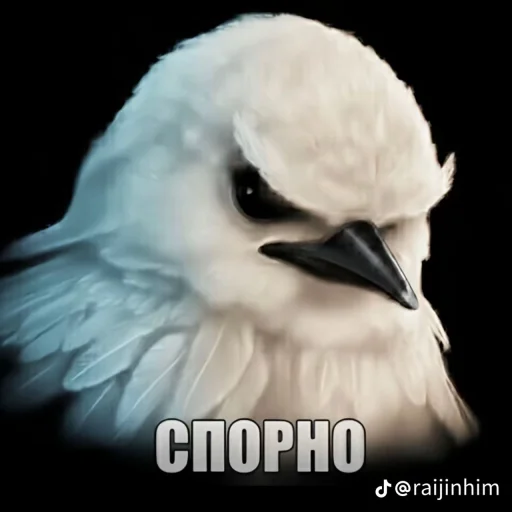 🤩 Стикер «Блотные и крутые птички» для Telegram