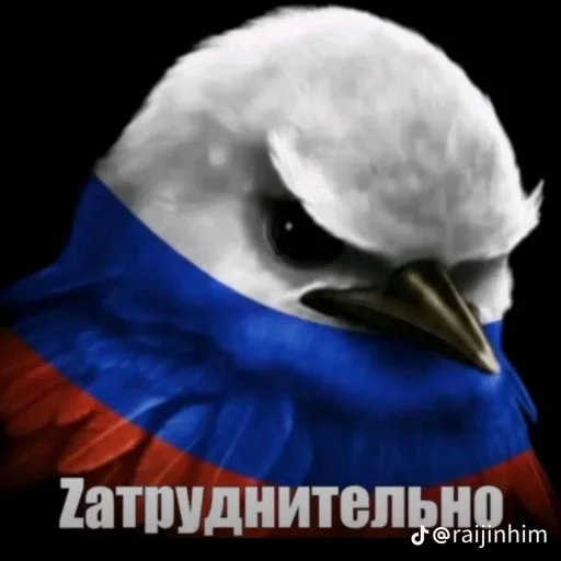 🤩 Стикер «Блотные и крутые птички» для Telegram