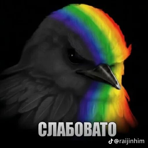 🤩 Стикер «Блотные и крутые птички» для Telegram