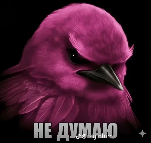 🤩 Стикер «Блотные и крутые птички» для Telegram
