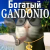 ❤️ Эмодзи «Капчони и пабло гандони» для Telegram