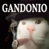 ☠️ Эмодзи «Капчони и пабло гандони» для Telegram